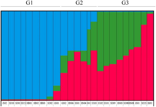 Figure 5. Population-based cluster analysis using STRUCTURE for K = 3 based on cpDNA data.