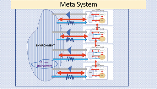 Diagram 3. Meta System incorporating System VSM