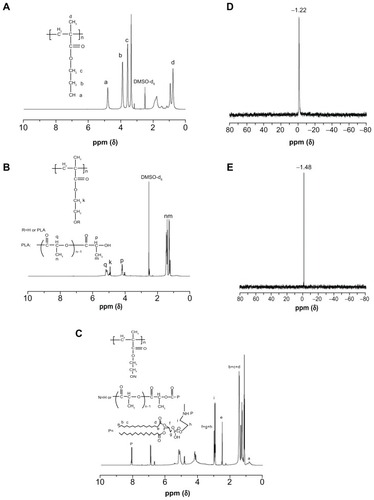 Figure 2 1H NMR spectra of (A) PHEMA, (B) PHEMA-PLA, and (C) PHEMA-PLA-DPPE, and (D) 31P NMR spectrum of (E) DPPE and PHEMA-g-(PLA-DPPE) copolymer.Abbreviations: PHEMA, poly (2-hydroxyethyl methacrylate; PLA, poly (lactide)-1; NMR, nuclear magnetic resonance; DPPE, 2-dipalmitoyl-sn-glycero-3-phosphoethanolamine; pNP, 4-nitrophenyl chloroformate.