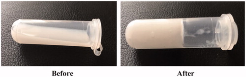 Figure 1. Photographs showing in situ gels before (room temperature) and after (33 °C) gelation.