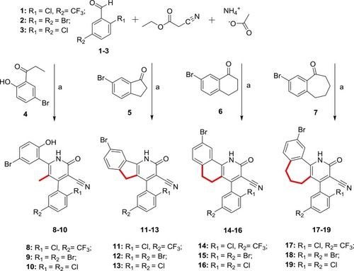 Scheme 1 Synthesis of 5-methyl-pyridin-2(1H)-ones 8–10, as well as rigidized scaffolds where the 6-phenylpyridin-2(1H)-one substructure is fused to a five, six, and seven-membered ring system 11–19. Rigidization changes are highlighted in red. Reagents and conditions (a) reflux in ethanol.