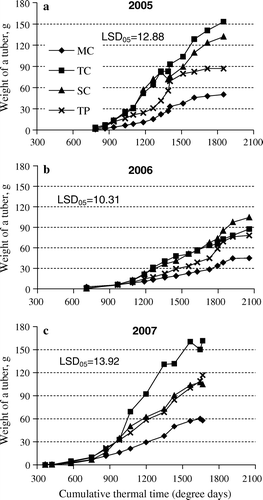 Figure 2.  Average weight of a tuber in 2005 (a), 2006 (b), and 2007 (c), plotted as a moving average over three sample times (over two in the case of the first and the last dates). Multiplication methods: MP – micro plants raised in vitro; TC – tip cuttings; SC – stem cuttings; TP – truncated plants.