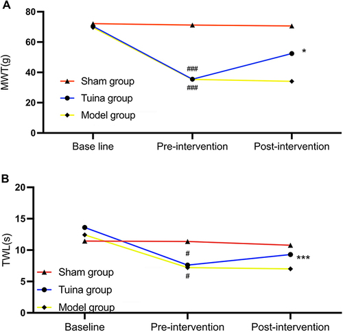 Figure 1 Result of MWT (A) and TWL (B), ✽P<0.05, ✽✽✽P<0.001 compared with Model group, #P<0.05, ###P<0.001 compare with Sham group, Sham group (n=8), Tuina group (n=8), Model group (n=8).