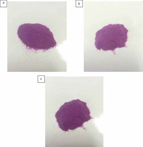 Figure 1. The appearance of purple sweet potato powder (a) before and after 12 months of storage at (b) 4ºC and (c) 25ºC