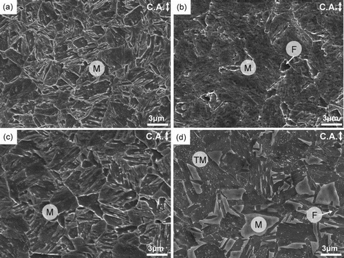 Figure 2. SEM images of the specimens water-quenched before pre-deformation (a,c) at 410°C (a) in the route-1, 300°C (c) in the route-2 and after pre-deformation at 410°C (b). (d) is an SEM image of the water-quenched specimen pre-deformed at 300°C and then isothermally held at 520°C for 4 s. F, M and TM indicate ferrite, martensite and tempered martensite, respectively. C.A. represents compression axis.