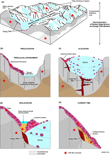 Figure 17. Diagrammatic summary of monazite transport derived from basement samples in Early Cretaceous glacial facies of the Radium Ridge Breccia. (a) General overview of the topography at an early phase of the Early Cretaceous glaciation. Red stars indicate the ca 365 Ma monazites that formed in conditions of ∼300 °C and in rocks at depths of 6–9 km. Tectonic uplift combined with erosion has brought those rocks to near-surface during the late Jurassic to Early Cretaceous. During the Early Cretaceous, glacial environments have produced a variety of glacial facies to form the STM and the sedimentary portion of the RRB. Local rocks, hosting the ca 365 Ma monazites, have contributed to these facies during (b) pre-glaciation, (c) glaciation and (d) deglaciation. (e) The current breccia exposures of the RRB preserve a representative Early Cretaceous landscape, which has evolved from rocks exhumed from depths of 6–9 km, at which monazites formed at ca 365 Ma within these rocks (modified from Hore et al., Citation2020).