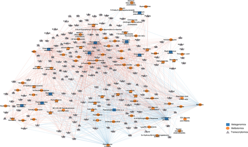 Figure 5. Systematic molecular correlations across multi-omes integrating morphine mediated changes in microbiome, metabolome, and host transcriptome. Host microbiome interaction network (Spearman coefficient ≥ ± 0.7) showing significant correlations between microbiome, metabolites and DEGs (P adj ≤ 0.05). Microbial species, metabolites, and DEGs are represented as nodes; microbiome (blue square), metabolite (orange circle), DEGs (gray triangle). Lines represent statistically significant correlations and are colored red for positive and blue for negative correlations.