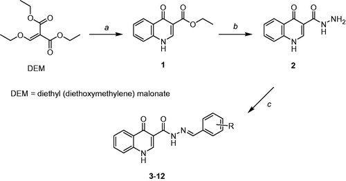 Figure 2. Preparation of the desired acylhydrazones: reagents and conditions. (a) aniline, Δ, 1 h; then, diphenyl ether, 120 °C, 24 h; 80% yield; (b) 50% aqueous NH2NH2, ethanol, Δ, 55 °C, 12 h; 82% yield; (c) aromatic aldehyde, ethanol, piperidine; Δ, 12–18 h; 63–90% yields.