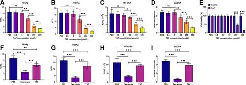 Figure 3 The antiviral effects of exosomes derived from the serum of CHB patients and TAF treatment. (A) The HBsAg level in the culture supernatants of HepAD38 cells treated with 0.5, 5, 50, 250, and 500 µmol/L TAF for 48 h, respectively. (B) The HBeAg level in the culture supernatants of HepAD38 cells treated with 0.5, 5, 50, 250, and 500 µmol/L TAF for 48 h, respectively. (C) The HBV DNA level in the culture supernatants of HepAD38 cells treated with 0.5, 5, 50, 250, and 500 µmol/L TAF for 48 h, respectively. (D) The intracellular HBV cccDNA level of HepAD38 cells treated with 0.5, 5, 50, 250, and 500 µmol/L TAF for 48 h, respectively. (E) Cell viability of HepAD38 cells treated with 0.5, 5, 50, 250, and 500 µmol/L TAF for 48 h, respectively, as detected by CCK-8 assay. (F) The HBsAg level in the culture supernatants of HepAD38 cells treated with exosomes derived from the serum of CHB patients at 48 weeks after receiving daily TAF treatment (25 mg) (Exo-serum) (10 μg/mL) or TAF treatment (50 µmol/L) for 48 h. (G) The HBeAg level in the culture supernatants of HepAD38 cells treated with Exo-serum (10 μg/mL) or TAF treatment (50 µmol/L) for 48 h. (H) The HBV DNA level in the culture supernatants of HepAD38 cells treated with Exo-serum (10 μg/mL) or TAF treatment (50 µmol/L) for 48 h. (I) The intracellular HBV cccDNA level of HepAD38 cells treated with Exo-serum (10 μg/mL) or TAF treatment (50 µmol/L) for 48 h. *p < 0.05, **p < 0.01, ***p < 0.001.