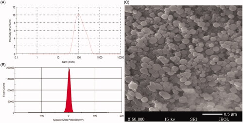 Figure 3. Size distribution, zeta potential, and scanning electron microscope of BRU-loaded PLGA NPs prepared with PVA. A: size distribution. B; zeta potential. C; scanning electron microscopic image.