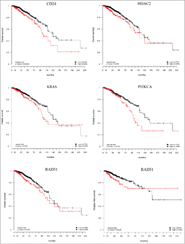 Figure 6. Prognostic relevance of the CTCs gene signature. Six independent Kaplan–Meier curves show the comparison of overall-survival and relapse-free survival in independent cohort of breast cancer patients (TCGA data set) and confirmed that high expression of the genes studied is associated with poor patient's outcome. Red curves: high gene expression; black curves: low gene expression; p values from log-rank tests comparing the two KM curves are shown at the bottom of each plot.