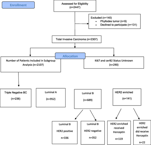 Figure 1 Distribution of BC patients in our series by subtyping.