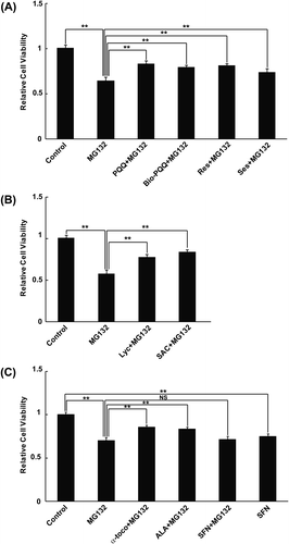 Fig. 4. MTT Cell viability assay.