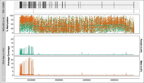 Figure 5. Methylation profiles and RNA-seq coverage over the CSMD1 locus. The first track displays the gene structure of the entire CSMD1 locus (8:2,792,875-4,852,494) and the second panel shows the methylation profile of the WGoxBS samples (n = 4), where each dot represents one CpG site for each individual. The third track displays the mean RNA-seq coverage of 64 female and 67 male placental samples. Note that most of the RNA-seq reads are aligned toward the 3’ end, where the differentially methylated regions are located (displayed in Figure 4). Canonical and placenta-specific transcription start sites are shown in blue and red, respectively.