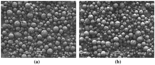 Figure 3. SEM images of 5Fu-loaded MPs varying in PLGA chain end groups.Notes: (a) acid-terminated 0.4A PLGA MPs and (b) ester-terminated 0.4E MPs.