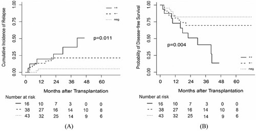 Figure 2. The probability of (A) CIR and (B) DFS according to MRD status at transplantation and 28 days after transplantation. ++: MRD status was positive at transplantation and at 28 days after transplantation. + -: MRD status was positive at transplantation but negative at 28 days after transplantation. neg: MRD status was negative at transplantation.