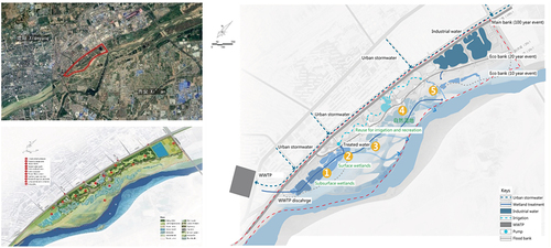 Figure 10. Weiliu Wetland Park site location, existing conditions upstream and downstream (layout & zones). Source: https://landezine.com/weiliu-wetland-park-by-yifang-ecoscape.