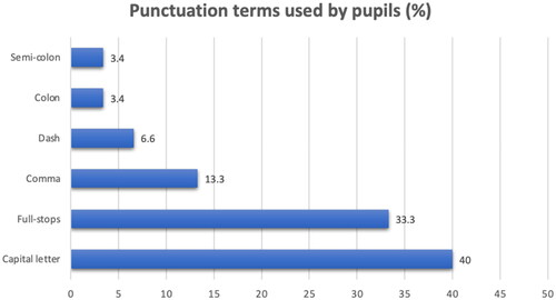 Figure 3. Pupils’ use of punctuation-related terms within the ‘punctuation’ writing feature (96 tokens).