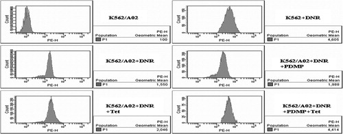 Figure 2. Effect of PDMP and Tet on intracellular accumulation of DNR in K562/A02 cells. After incubated with DNR (0·5 μg/ml) in the presence and absence of PDMP (20 μmol/l) and/or Tet (1 μmol/l) for 48 hours, the average fluorescence intensity of DNR in K562/A02 cells was assessed by flow cytometry. Results are representative of at least three experiments.