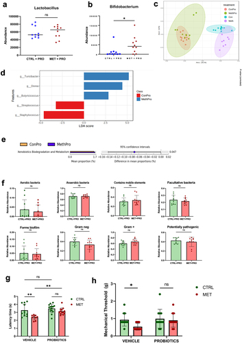Figure 5. Supplementation with VSL#3 cocktail in dams alters neonatal gut microbiome and rescues hypersensitivity to thermal and mechanical pain in 3-week-old methadone-exposed offspring.
