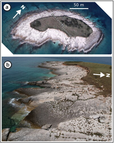 Figure 3. (a) Landsat image of Fenoliga Island (Google Earth, 2022); (b) oblique view of the sloping coastal profile taken in the southern part of the island where the boulders are most abundant.