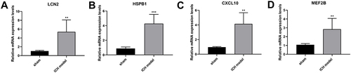 Figure 4 Validation of DEGs using RT-qPCR.