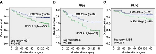 Figure 4 The correlation between HSDL2 expression and the prognosis of breast cancer patients.Notes: (A) Kaplan-Meier analysis of overall survival rates in 119 breast cancer patients in relation to HSDL2 expression. (B-C) Kaplan-Meier analysis of overall survival rates in 119 breast cancer patients with or without HSDL2 expression in relation to PR status.Abbreviations: H, high; L, low.