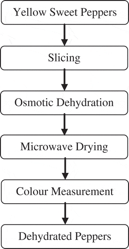 Figure 1 Flow diagram of the used experimental protocol.