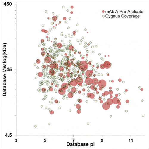 Figure 6. Virtual 2D-DIGE comparison of downstream impurities identified in the Protein A eluate of mAb A (red) and HCPs with ELISA coverage identified uniquely by anti-HCP affinity purification (gray). Protein A impurities with a concentric gray dot have confirmed ELISA immunoreactivity. Protein A impurity spot size is scaled relative to protein abundance, while fixed spot size is used for HCPs identified by anti-HCP affinity purification.