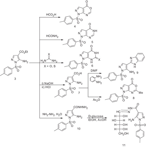 Scheme 2. Preparation pathways for compounds 4–11.