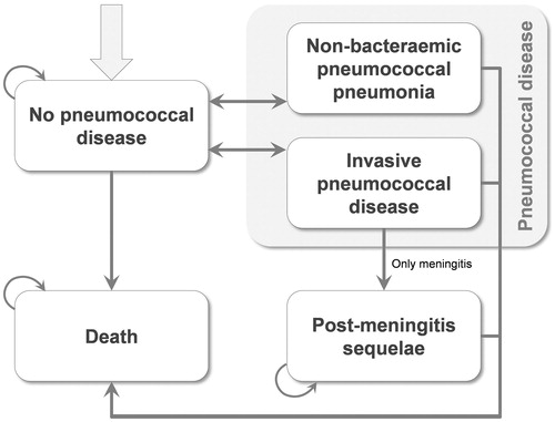 Figure 1. Model structure. Figure reprinted with permission of publisher from: ‘Cost?effectiveness of vaccinating adults with the 23-valent pneumococcal polysaccharide vaccine (PPV23) in Germany’ by Yiling Jiang, Aline Gauthier, Lieven Annemans, Mark van der Linden, Laurence Nicolas-Spony & Xavier Bresse, in Expert Review of Pharmacoeconomics & Outcomes Research, January 9th 2014, Taylor & Francis Ltd.