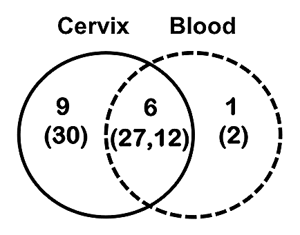 Figure 4 Summary of networks formed between related VH sequences of different isotypes between two immune compartments: the cervical mucosa (solid line) and the peripheral blood (dashed line). The total number of networks identified in each compartment is indicated along with the total number of unique sequences (in parentheses) that collectively form the networks.