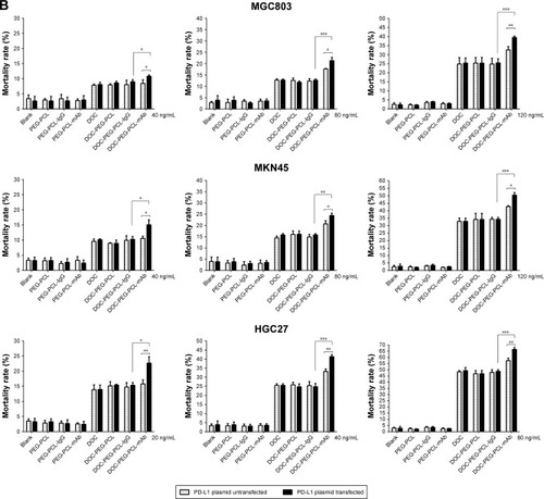 Figure 5 In vitro viability of three types of gastric cancer cells treated with blank NPs, PEG-PCL, PEG-PCL-IgG, PEG-PCL-mAb, free DOC, DOC-PEG-PCL, DOC-PEG-PCL-IgG, and DOC-PEG-PCL-mAb NPs at different drug concentrations after 48 hours of incubation.Notes: (A) PD-L1 expression level of MGC803, MKN45, and HGC27 cells before and after PD-L1 plasmid transfection by flow cytometry and Western blot analysis. (B) In vitro viability of three kinds of gastric cancer cells. Data were expressed as the mean±SD of three independent experiments. ***P<0.005, **P<0.01, and *P<0.05 were considered significant.Abbreviations: APC, allophycocyanin; DOC, docetaxel; IgG, Immunoglobulin G; mAb, monoclonal antibody; NP, nanoparticle; PD-L1, programmed death-ligand 1; PEG-PCL, poly (ethylene glycol)-poly (ε-caprolactone).