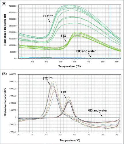 Figure 1. Melt curve of recombinant toxins. (A) Fluorescence signal versus temperature. (B) Derivative value of fluorescent signal. In this assay, 8 replicates were used for each sample.