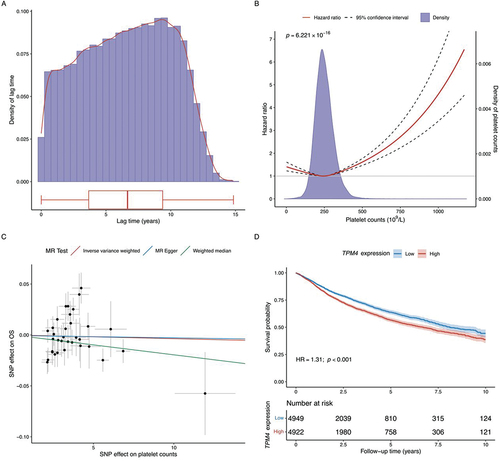 Figure 2. (A) distribution of lag time. (B) Examination of the non-linear association between platelet counts and overall cancer survival. (C) Mendelian randomization analyses for platelet counts on overall cancer survival. (D) Survival analyses of TPM4 gene expression (primary tumor tissue) in overall cancer survival. Gene expression data were obtained from The Cancer Genome Atlas (TCGA) database.