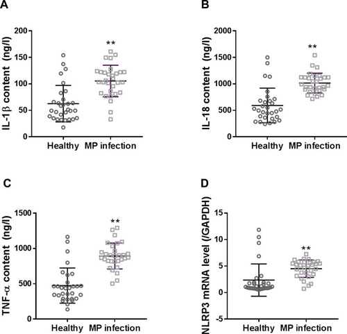 Figure 1 Serum levels of IL-1β (A), IL-18 (B), and TNF-α (C), and mRNA expression of NLRP3 (D) in PBMCs of children with M. pneumonia infection. Data are expressed as mean ± SD (n = 30), **P < 0.01, vs healthy controls.