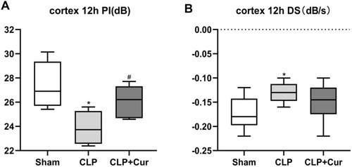 Figure 8 Changes in CEUS values and effects of curcumin at 12h. (A) PI in CLP group was significantly decreased compared with the sham group and curcumin treatment significantly enhanced the level of PI compared with CLP (B) DS in CLP group was significantly decreased compared with the sham group, *P < 0.05 compared with sham; #P < 0.05 compared with CLP (n = 8 per group).