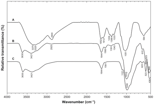 Figure 8 Fourier transform infrared spectra for A) chitosan, B) montmorillonite/chitosan, and C) montmorillonite.
