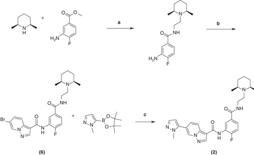 Figure 4. The preparation of compound (2). (a) 2,3,4,6,7,8-hexahydro-1H-pyrimido[1,2-a]pyrimidine, THF, 40 h, 80°C. (b) (4), pyridine, 18 h, 20°C. (c) Cs2CO3, PdCl2(dppf).CH2Cl2 dimethoxyethane, H2O, hν, 1 h, 100°C.