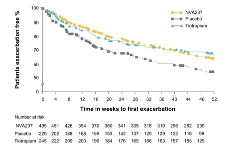 Figure 6 Kaplan–Meier plot of the time to first moderate or severe chronic obstructive pulmonary disease exacerbation.