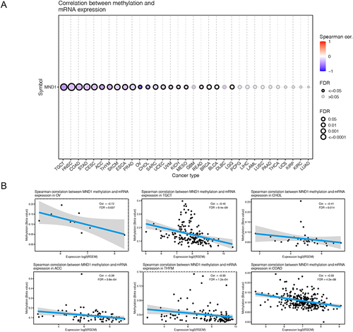 Figure 4 The methylation profile of MND1 across cancers. (A) Correlation between MND1 methylation and mRNA expression across cancers. (B) The top six cancers with the highest correlation scores between MND1 methylation and mRNA expression.