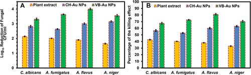 Figure 8 Antifungal activity of VB-Au NPs in terms of (A) log10 reduction (p < 0.0008) and (B) % killing efficiency (p < 0.0008) of fungal strains in comparison to leaves extract of Viola betonicifolia and CH-Au NPs.