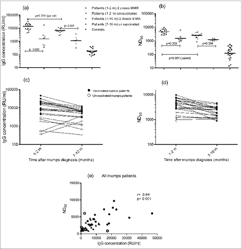 Figure 1. Anti-mumps IgG concentrations (A) and ND50 values (B) of the various groups of mumps cases (vaccinated vs. unvaccinated; 1–2 months and 7–10 months after onset of disease) and control group. Dynamics of the anti-mumps IgG concentrations (C) and ND50 values (D) of the vaccinated mumps cases (closed dots) vs. unvaccinated (open dots) mumps cases at the different time points, i.e. One–2 months and 7–10 months, after onset of mumps. Correlation (Spearman's rank analysis) between IgG concentrations and ND50 values of mumps cases (E) Samples from both time points are included in this analysis; closed symbols represent vaccinated persons and open symbols represent unvaccinated patients; circles represent samples taken at 1–2 months and triangles represent samples taken at 7–10 months after onset of disease.