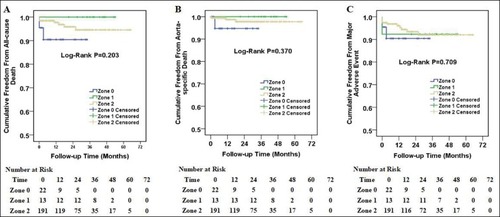 Figure 2 Kaplan–Meier curves among patients with zone 0, zone 1 and zone 2 aortic arch diseases. Cumulative all-cause death curves (A), aorta-specific death curves (B) and major adverse event curves (C) in patients with zone 0, zone 1 and zone 2 aortic arch diseases. The number of patients at risk at each year was listed in the bottom of the figure.