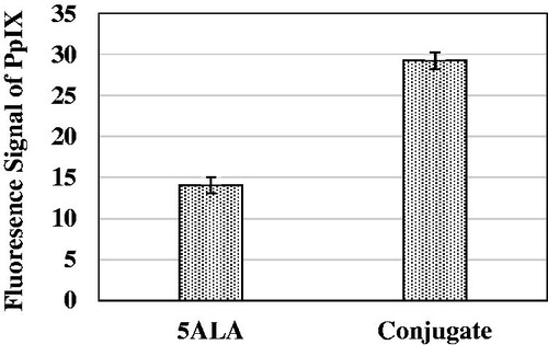 Figure 5. Fluorescence signal of protoporphyrin IX after four hours incubation time of Mel-Rm cells with 5-ALA and conjugate. The cell density was 3 × 104 cell/ml and 5ALA concentration was 1 Mm. The control fluorescence signal was subtracted. The data represent mean ± standard error on the mean obtained from three performed experiments.