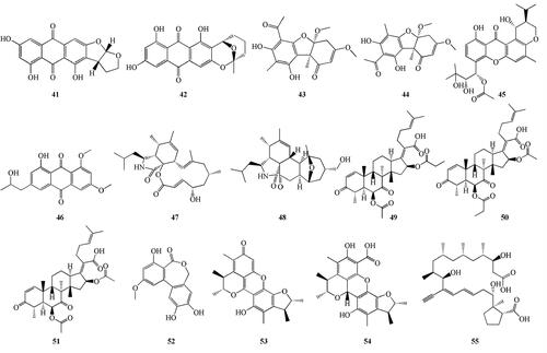 Figure 3. Chemical structures of antimicrobial compounds (41-55).