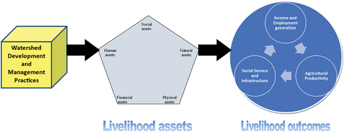 Figure 1. Conceptual framework.