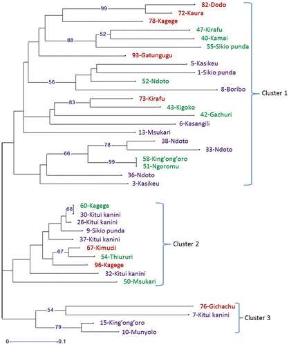 Figure 3. Molecular clustering result according to the Neighbor Joining method for 36 mango accessions from Eastern Kenya. Bootstrap values >50 are shown in branches. Accession names labelled in purple, green and red colours represent the sampling locations Ukambani, Embu and Meru, respectively.