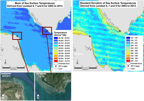 Figure 7. Mean and standard deviation of Landsat 5, 7 and 8 thermal images (at-surface brightness temperature) calculated on a per-pixel basis for the Shelley Beach (Townsville; n = 78) and Cockle Bay (Magnetic Island; n = 68) study areas from 2003 to 2013. The areas highlighted within the black polygons are intertidal, as determined from Dhanjal-Adams et al. (Citation2016).