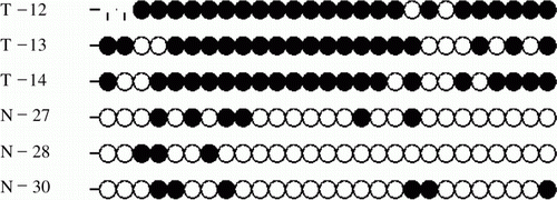 Figure 4.  Methylation profiles of CpG dinucleotides of exon-1 of the HOXC-8 gene in normal Mongolian sheep (N) and multi-vertebrae Mongolian sheep (T). Open and closed circles indicate non-methylated and methylated CpG sites, respectively.